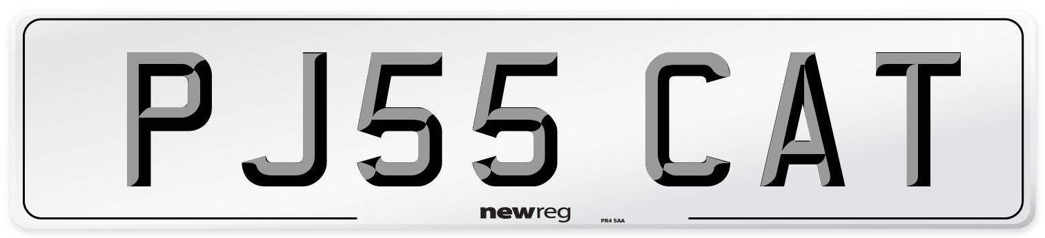 PJ55 CAT Number Plate from New Reg